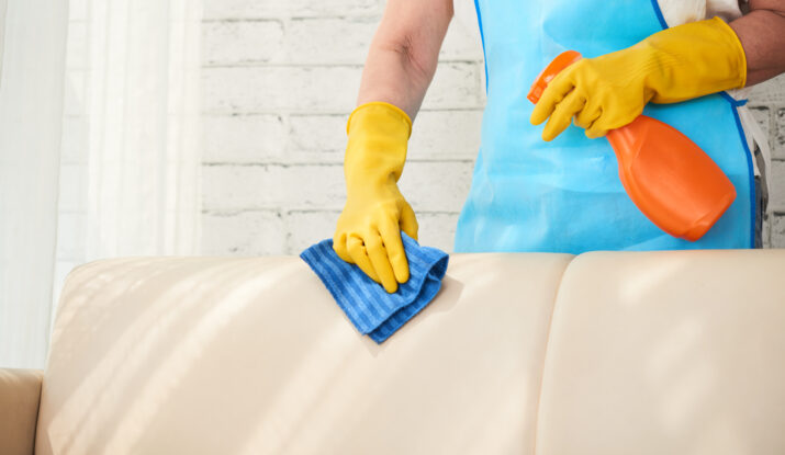 leather couch cleaner