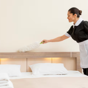 Single Bedroom Cleaning
